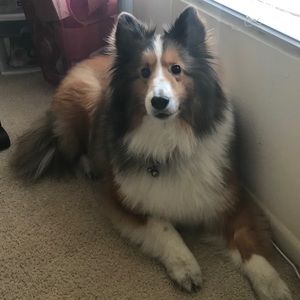 Meet your Posher, Fiona